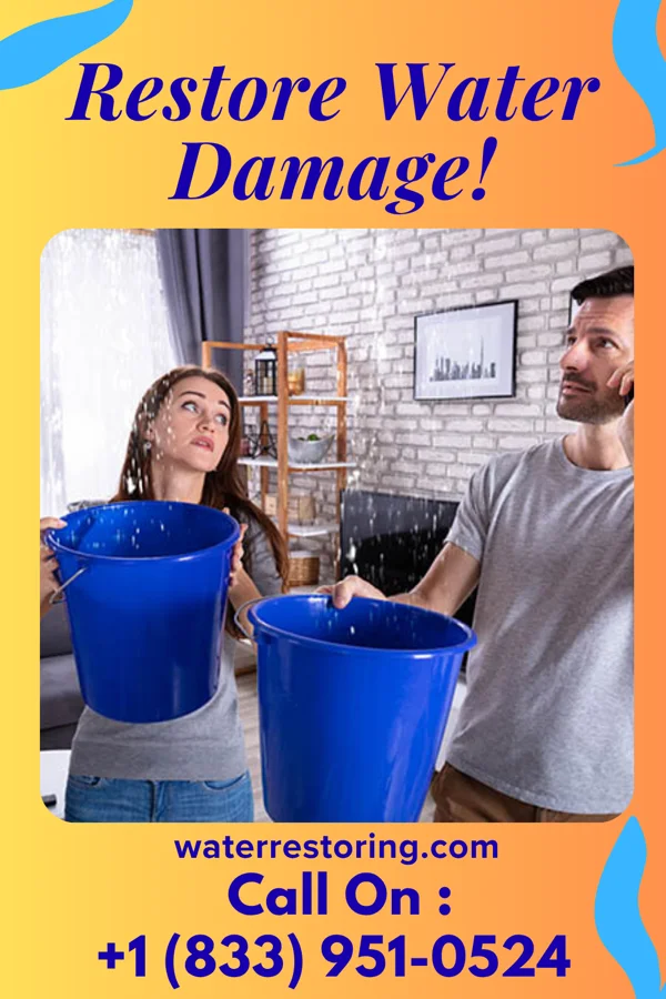 water restoration Precision Mitigation Network Denton