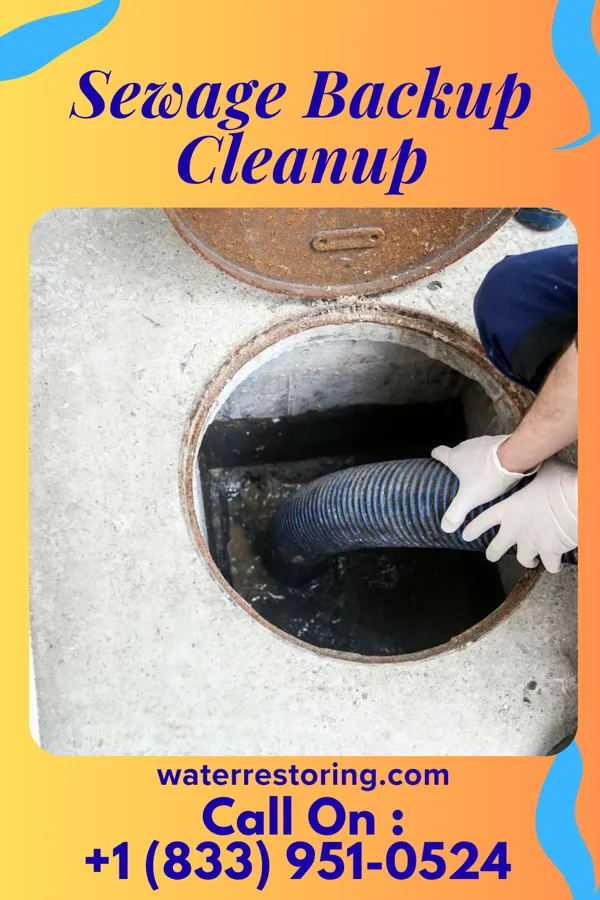 Sewage Backup Cleanup in Denton, TX