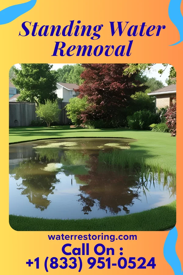 Standing Water Removal in Denton, TX